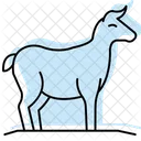 Hay For Animals Hay Animals Icon