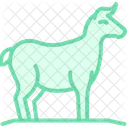 Hay For Animals Hay Animals Icon
