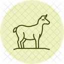Hay For Animals Hay Animals Icon