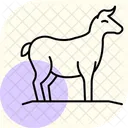 Hay For Animals Hay Animals Icon