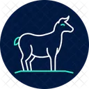 Hay for animals  Icon