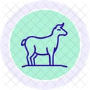 Hay For Animals Hay Animals Icon