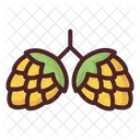 Nuts Beer Seeds Icon