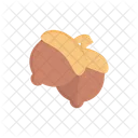 Hazelnut Dryfruit Food Icon
