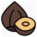 Hazelnut  Icon