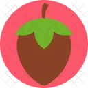 Hazelnut Nut Seed Icon