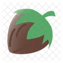 Hazelnut  Icon