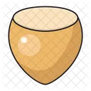 Hazelnut Dry Fruit Icon