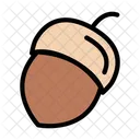 Hazelnut Dryfruit Food Icon