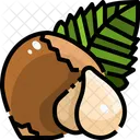 Hazelnut  Icon