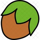 Hazelnut Dryfruit Nutrition Icon