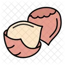 Food Nut Healthy Icon