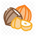 Hazelnut Nut  Icon
