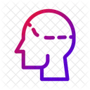 Head Skull Cranium Icon