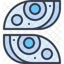 Headlamp  Icon