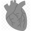 Health Report  Icon
