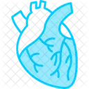 Health Report  Icon