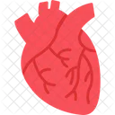 Health Report  Icon