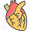 Health Report Clipboard Health Icon