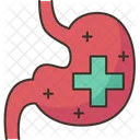 Healthy Stomach Digestion Icon