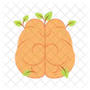 Intelligence Brain Mind Icon