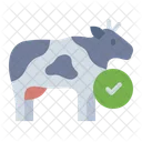 Healthy Cow Cow Animal Icon