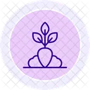 Healthy Crops Healthy Crops Icon