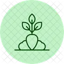 Healthy Crops Healthy Crops Icon