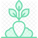 Healthy Crops Healthy Crops Icon