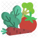 Healthy Food Tomato Carrot Icon