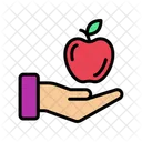 Healthy Food Fruit Care Healthy Fruit Icon