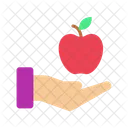 Healthy Food Fruit Care Healthy Fruit Icon