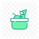 Healthy Food Fruit Bowl Bowl Icon