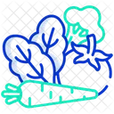 Healthy Food Tomato Carrot Icon