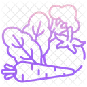 Healthy Food Tomato Carrot Icon