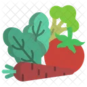 Healthy Food  Icon