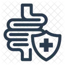 Healthy Gut Digestion Probiotics Icon