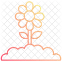 Healthy  Icon
