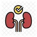 Healthy Kidneys Color Icon