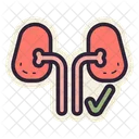 Healthy Kidney  Icon
