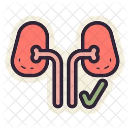 Healthy Kidney  Icon