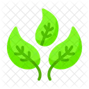 Healthy Life Healthy Leaves Icon