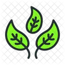 Healthy Life Healthy Leaves Icon