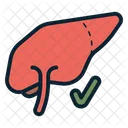 Liver Organ Medical Icon