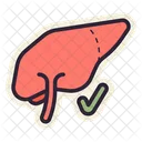 Healthy Liver  Icon
