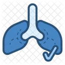 Lungs Organ Medical Icon