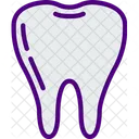 Healthy Tooth Tooth Teeth Icon