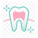 Healthy Tooth Root Healthy Tooth Healthy Icon
