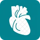 Heart Body Human Icon