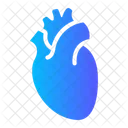 Heart Organ Body Icon